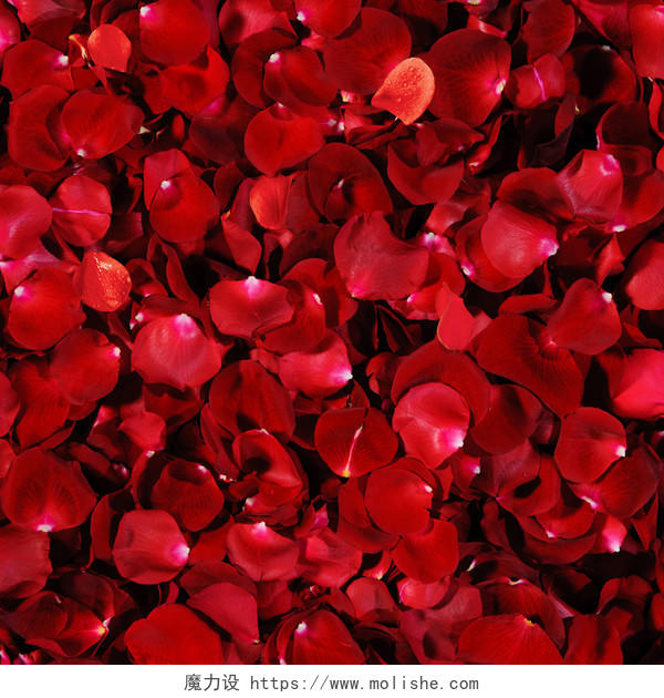 淘宝主图背景素材婚礼红色玫瑰花瓣主图
